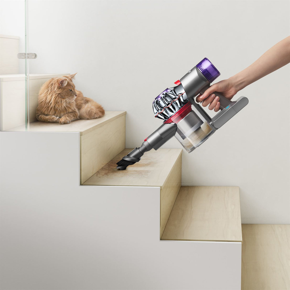 Dyson V8 Absolute Handstaubsauger - Gelb/Nickel