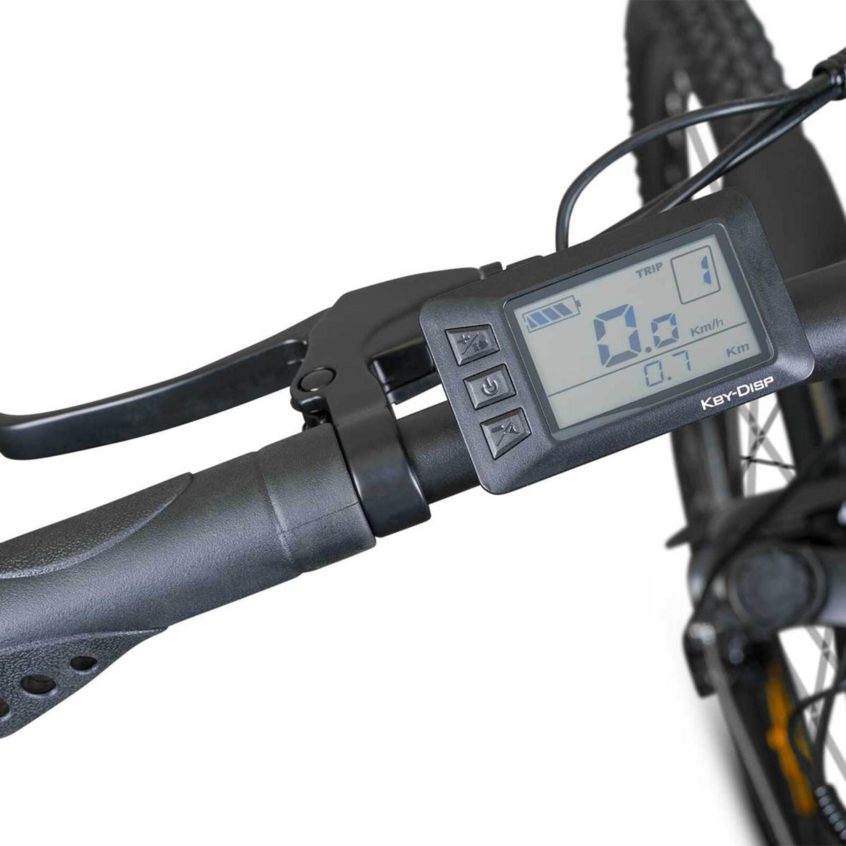 ROVER Trekking E-Bike TMR 709 grau