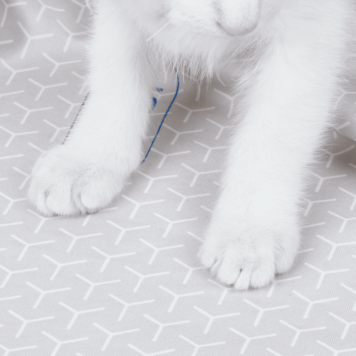 PETKIT Purobot Ultra Unterlage rutschfest wasserfest Katzenstreumatte