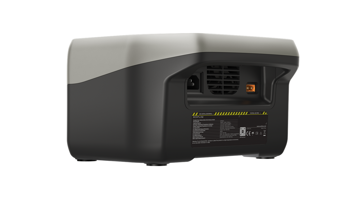 EcoFlow Balkonkraftwerk mit River 2 Powerstation schwarz-0% MwSt. (gem. � 12 Abs. 3 UStG)