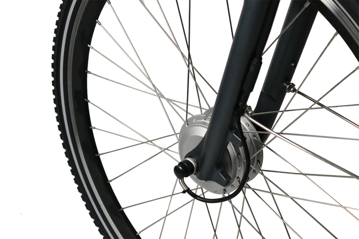 Blaupunkt E-Bike WAGNER ALLGÄU