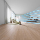 Dyson TP09 Purifier Cool Formaldehyde Pro Luftreiniger/Ventilator - Weiß/Gold