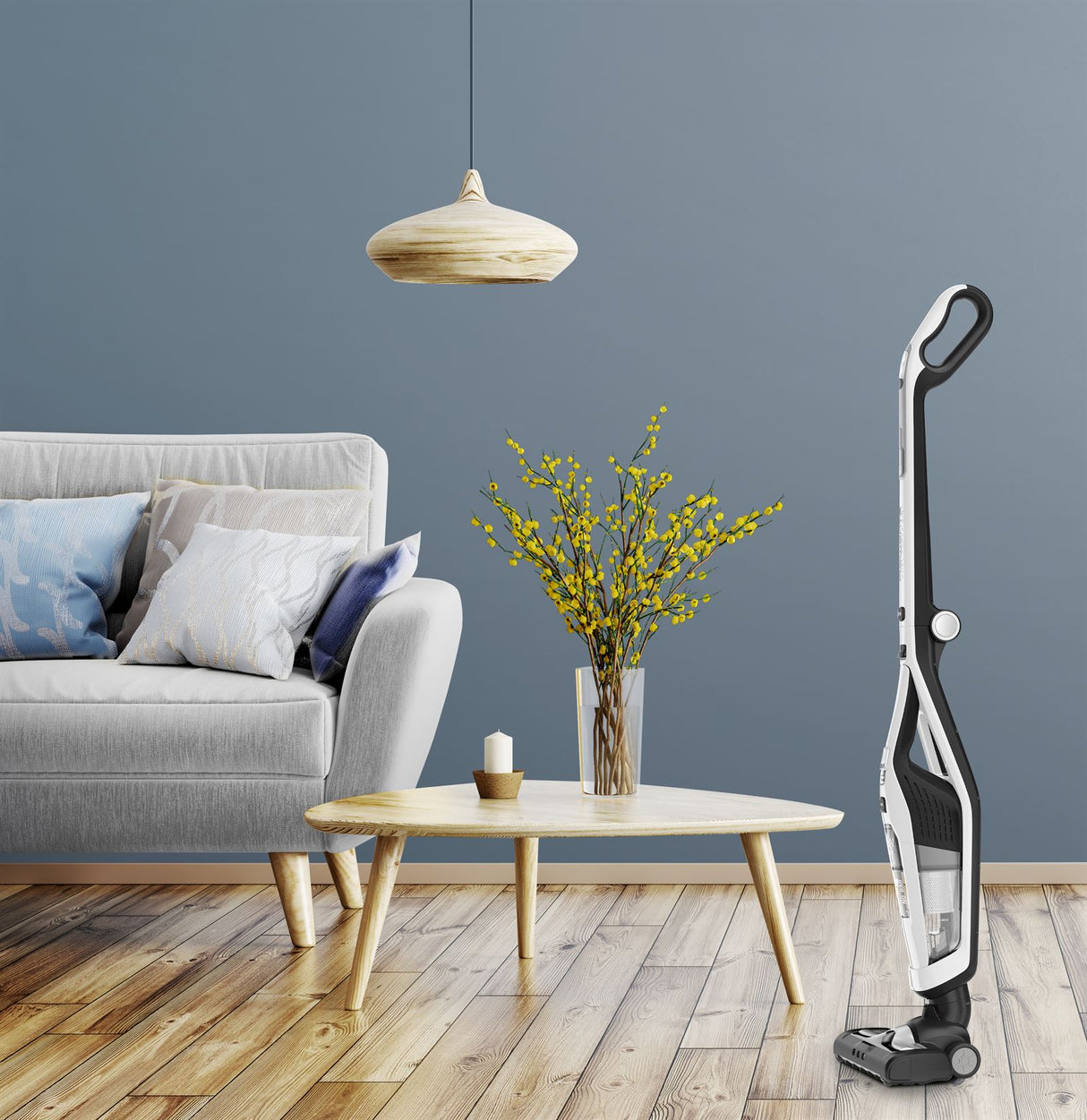 Rowenta Dual Force 2 in 1