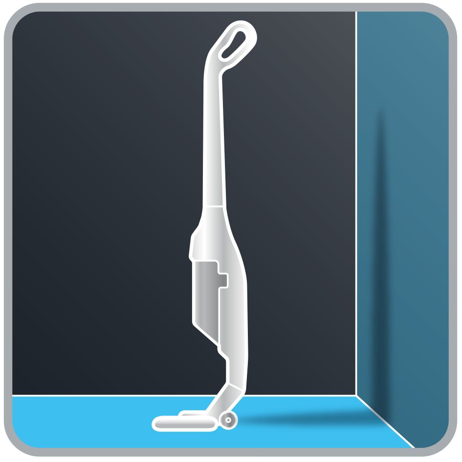 Rowenta Dual Force 2 in 1