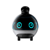ENABOT EBO X 4k Haustierroboter Kamera Gimbal VSLAM Alexa Projektor
