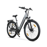 ROVER Trekking E-Bike TLR 709 grau