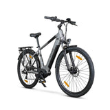 ROVER Trekking E-Bike TMM 709 grau