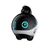 ENABOT EBO X 4k Haustierroboter Kamera Gimbal VSLAM Alexa Projektor
