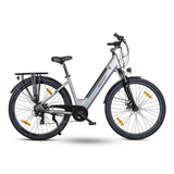 ROVER Trekking E-Bike TLR 709 grau