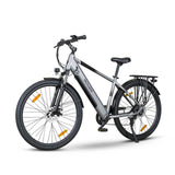 ROVER Trekking E-Bike TMR 709 grau