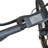 ROVER Trekking E-Bike TLR 709 grau