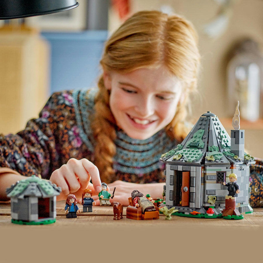LEGO Harry Potter Hagrids Hütte: Ein unerwarteter Besuch 76428