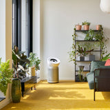 Dyson BP06 HEPA Big+Quiet Formaldehyde Luftreiniger - Silber/Weiß