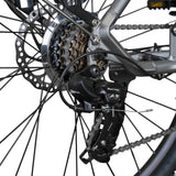 ROVER Trekking E-Bike TMM 709 grau