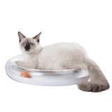 PETKIT 4 in 1 Kratzspielzeug Katze Kratzbrett Spielschiene Katzenminze
