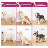 PETKIT Tierfell Staubsauger Set Fellpflege leise HEPA für Katzen Hunde